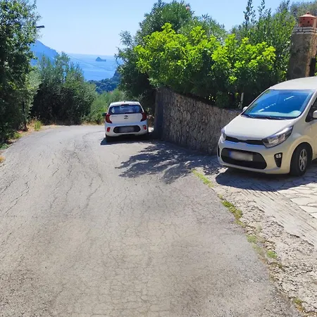 Amaryllis Палеокастрица