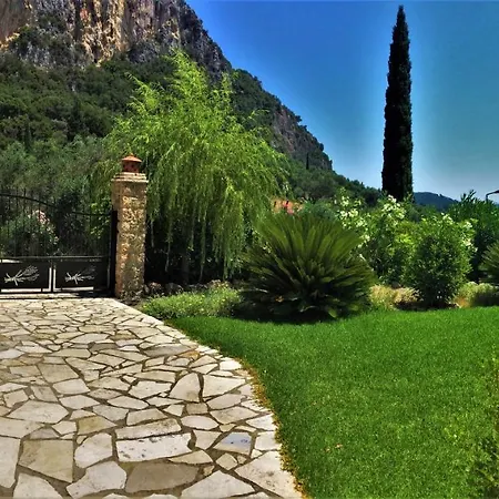 Amaryllis باليوكاستريتسا