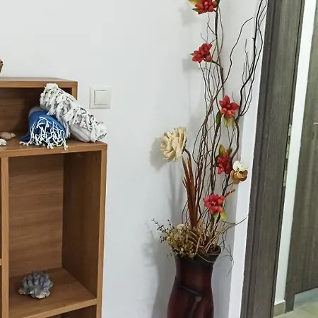 Amaryllis דירה פאלאוקסטריצה