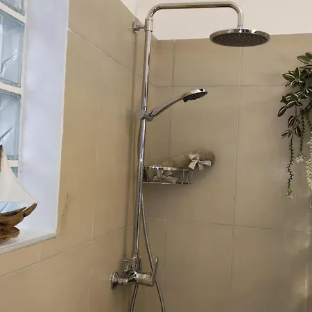 Amaryllis Paleokastritsa