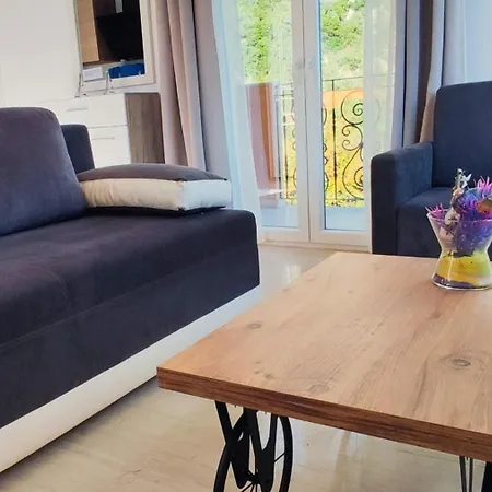 Amaryllis * باليوكاستريتسا