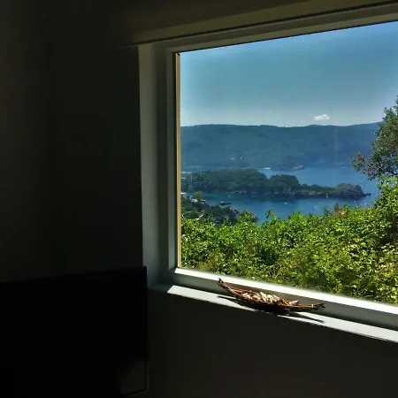 דירה Amaryllis