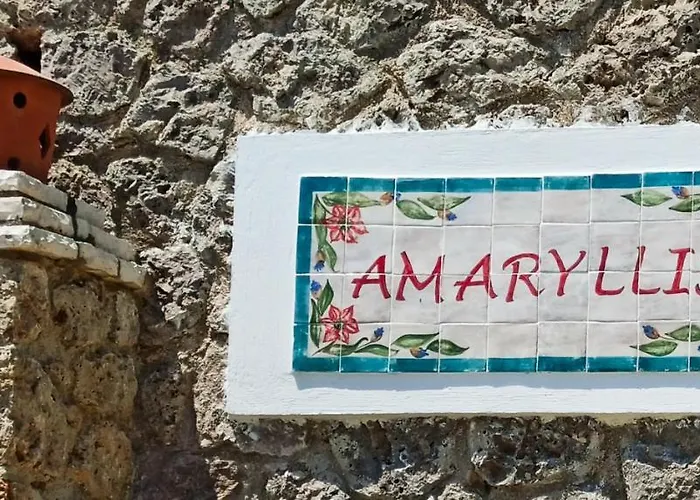 Amaryllis * Paleokastritsa